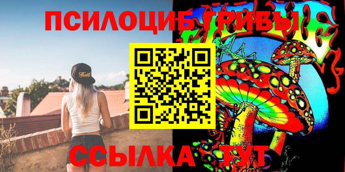Псилоцибиновые грибы Psilocybe Людиново